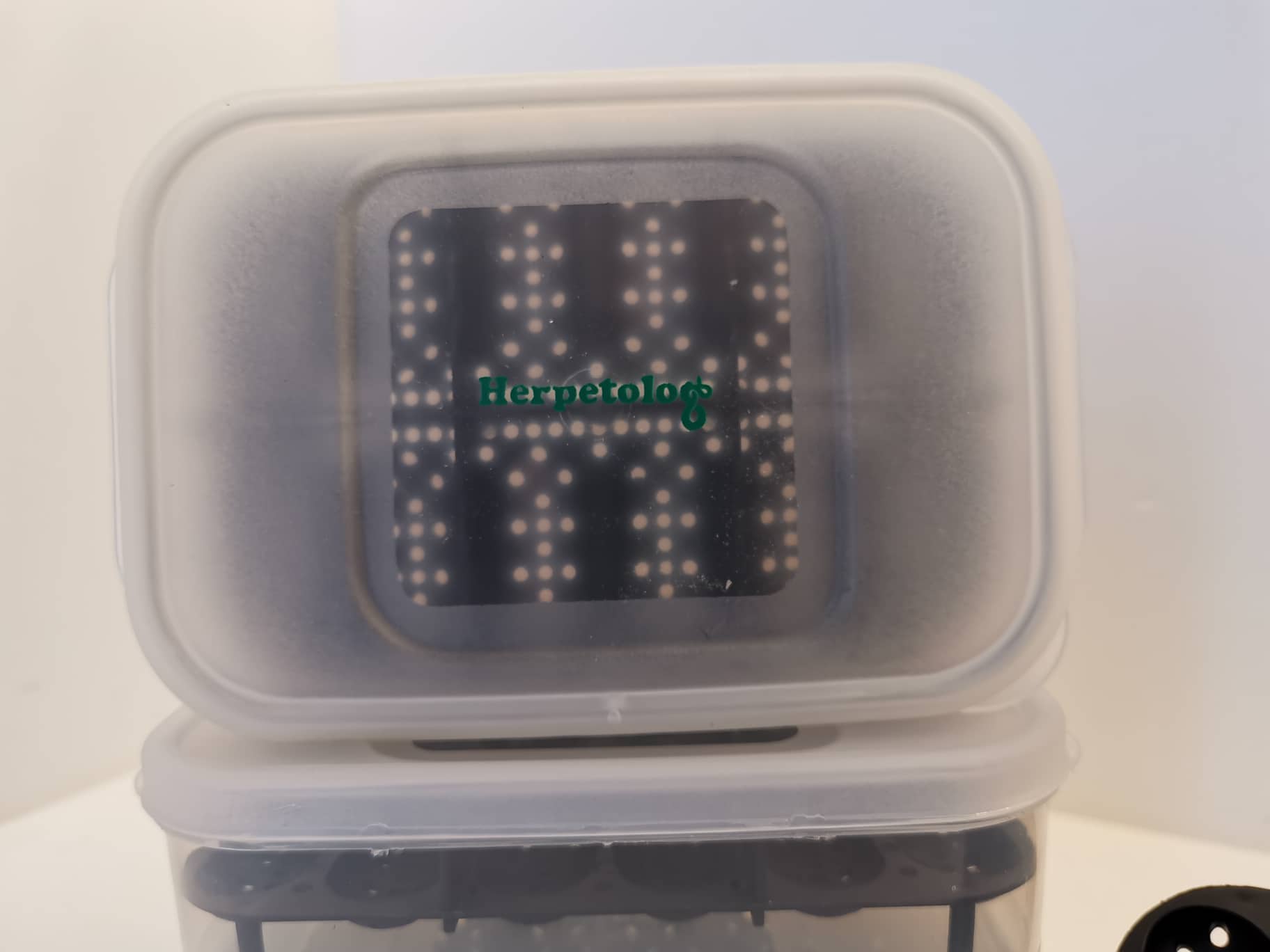 70594224_308149656699517_2612130398540398592_n